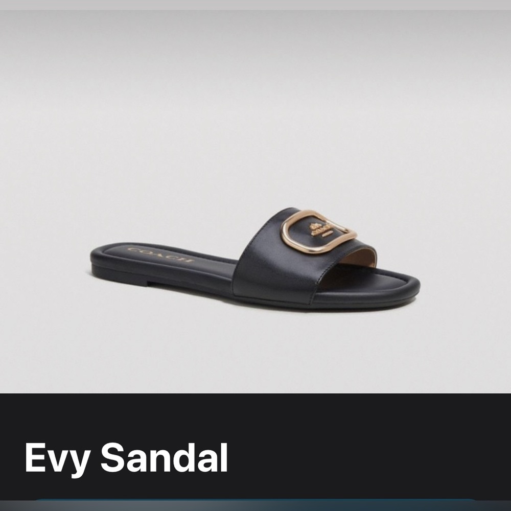 coach evy sandal size 5.5